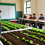 **Organic Farm Certification Course:** A classroom setting with students learning about organic farming principles. Include visuals of natural pest control methods, healthy soil practices, and government scheme application processes. The scene should convey the idea of gaining knowledge and skills for organic farming.