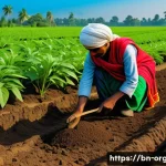 유기농업 자격증 취득 후 경로 - A vibrant rural Bangladeshi organic farm scene during daylight, showcasing a farmer in traditional B...