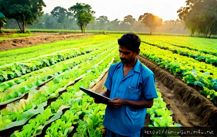 유기농업 연봉 차이 - Photorealistic comparison scene in rural Bangladesh: an experienced organic farm manager in clean pr...